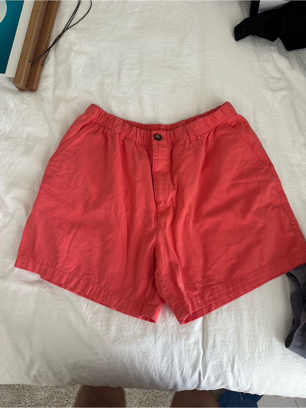 5” shorts BearBottom Clothing